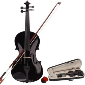 Violin for Beginners Students,Acoustic Violin 4/4,Full Size Violin