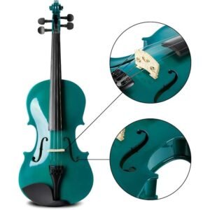 4/4 Handmade Student Acoustic Violin Beginner Pack with Bow